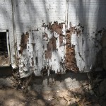 Selling Reminders - Termite Damage